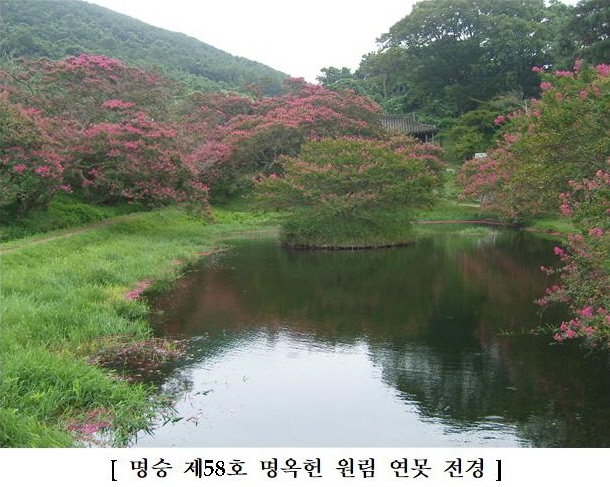 102_명승 제58호 명옥헌 원림 연못 전경.jpg